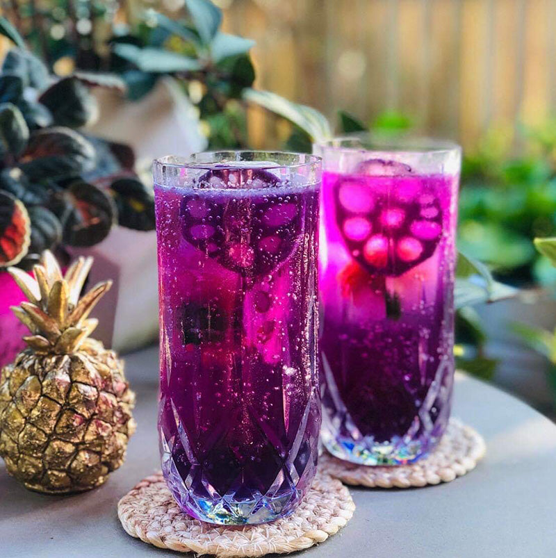 D-Still Polycarbonate Cut Crystal Rocks Glasses Set