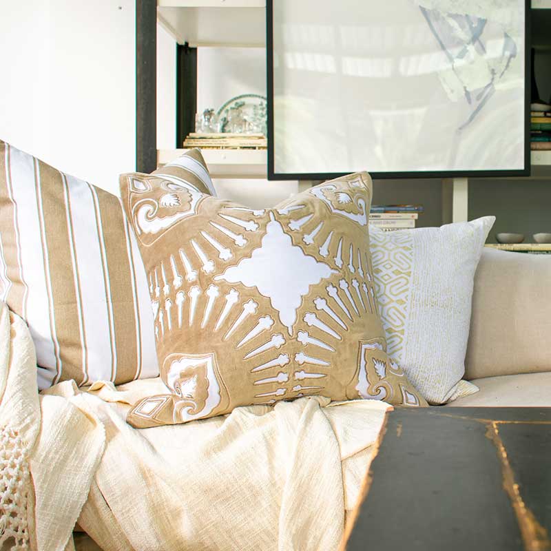 Bandhini Natural Roman Applique Velvet Lounge Cushion
